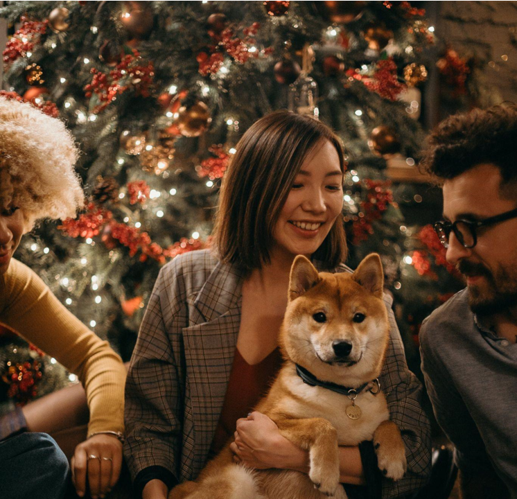 Why Artificial Christmas Garlands Are Perfect for Health Retreats in Nature